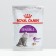 Dry food RC Sensible for cats, 200 gr
