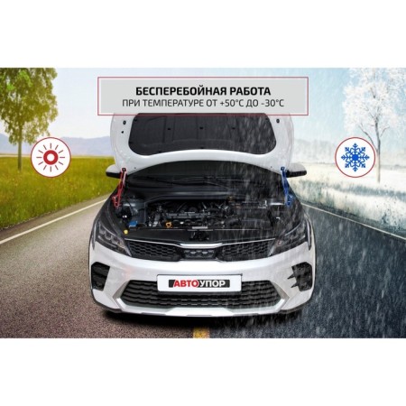 Copot shock absorbers "Avtouor", Kia Cerato 2013-2018, 2 pcs., Ukicer012-3