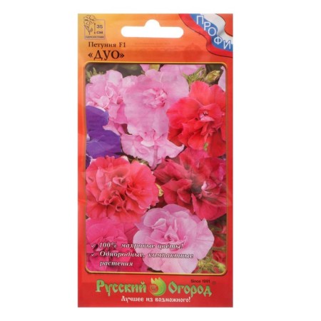 Flowers of Petunia "Duo" F1, hybrid, 12 pcs-4