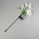 Garden lamp on the sunny battery "Lily White", 80 cm, 4 LED, glow of multi (RGB)