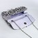 Bag-clate on the magnet, the color is silver