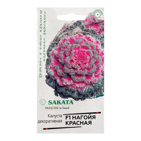 Seeds of flowers cabbage decorative "Naked red f1", c/n, 6 pcs