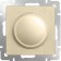 Dimmer WL10-DM600, Shampan