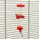 Drill for rodents "Pijon", 250 ml, red
