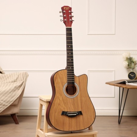 Acoustic guitar Music Life SD-H38Q, beige