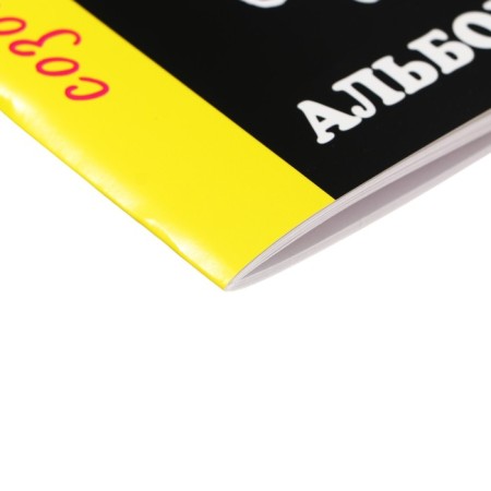 Album for drawing A4, 24 sheets on the Kuromi-2 clip, cover coated cardboard, internal unit 100 g/m²-2