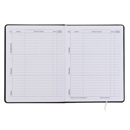 Universal Generation 1-11 Diary, solid cover, artificial leather, silkography, liesa, block 80 g/m2-4