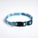 A collar for cats with fastx "I want to on pens", 30 x 1 cm