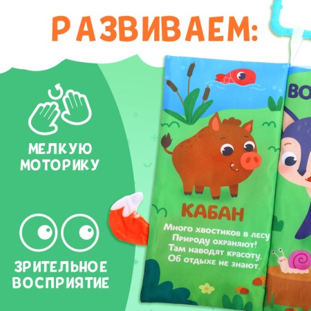 Lesfly-tail book book, with ponytails, from 3 months-4
