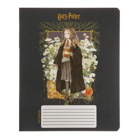 Notebook of 12 sheets in the Harry Potter cage, covered cardboard, OFSET block 65, 5 species mix-5