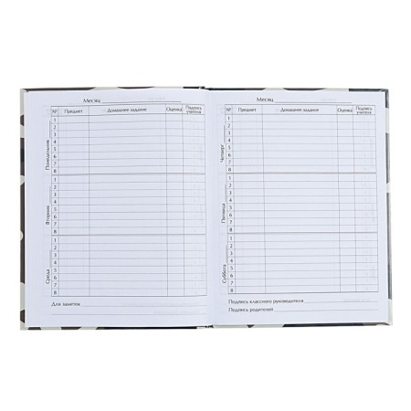 Universal diary for grades 1-11, "plane", solid cover 7BC, glossy lamination, 40 sheets-7