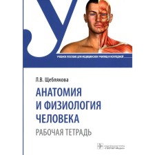 Anatomy and physiology of man. Schebryakova L.V.