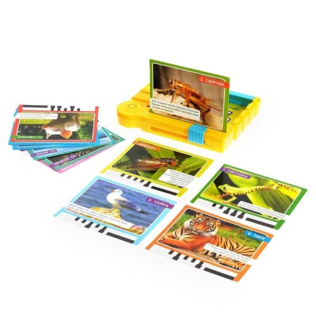 The training interactive set “We know the world”, plastic prefix, music cards, 14 pcs.-1