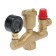 STM Security Group thermo, for heating boilers, 1 ", w - figurative