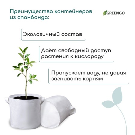 Container with handles, 28 × 24 cm, density 130 g/m², Greengo-7