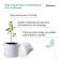Container with handles, 28 × 24 cm, density 130 g/m², Greengo