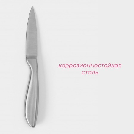 Knife for vegetables Salomon kitchen shade, blade length 9.5 cm, silver color-1