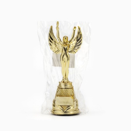 The award figure is “Nika”, a stand plastic gold, 18.5 x 7 x 6 cm.-5