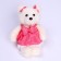 Soft toy "Lear", the colors of mix