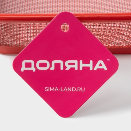 Lid - mesh of the share "2 in 1", 28 × 20 cm, color mix-4