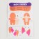 Set for creating a felt toy with perforation and filler "Corgi"