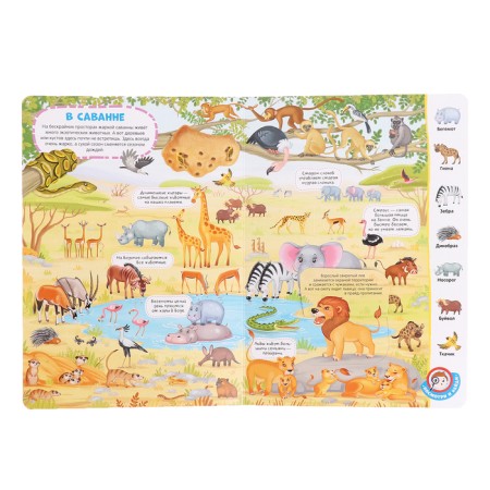 Book with windows "Wimmelbuh. Animals"-1