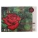 Watercolor tablet with embossing "Shell" A3, 20 sheets "Scarlet Rose", block 200 g/m²
