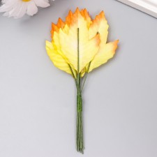 Decor for creativity 