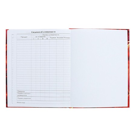 Diary for grades 5-11 anime. Man, hard cover, glossy lamination, 48 sheets-8