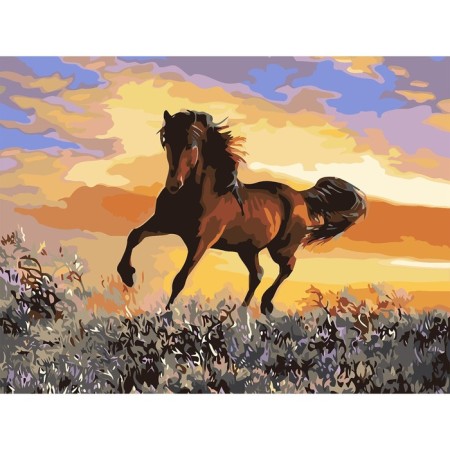 Picture on numbers on canvas with a subframe "Graceful run of a horse", 40 x 30 cm-1