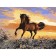 Picture on numbers on canvas with a subframe "Graceful run of a horse", 40 x 30 cm