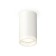 Ambrella Light overhead lamp, XS6322040, MR16 GU5.3 LED 10 watts, white sand, white matte