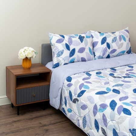 Euro set: blanket, sheet, pillowcases 50x70 cm-2 pcs