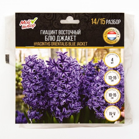 Hyacinth East Blue Jacket, rr 14/15, 4 pcs, autumn 2024-2