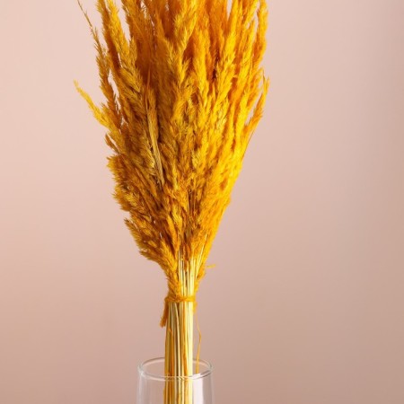 Set of dried flowers "Weinik", banch length 65 (+/- 6 cm), yellow-1