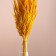 Set of dried flowers "Weinik", banch length 65 (+/- 6 cm), yellow