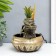Desktop fountain "Buddha with flower" 16x16x22 cm