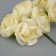 Decorative flower for creativity "Rose" pale yellow