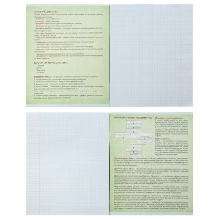 A set of subject notebooks of 48 sheets "Neon", 10 items with reference material, cover coated cardboard, UV-lax, OFSET BOCom-20