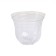 Pot for seedlings with a lid, 250 ml, d = 9.5 × 15 cm, (packing 5 pcs.) Greengo