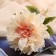 Artificial flowers "Georgin Pigmy" 11x60 cm, cream