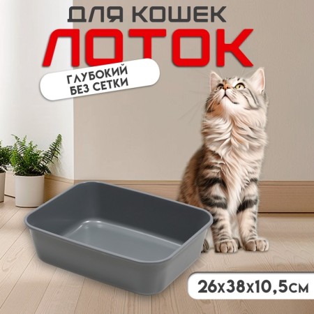 Sima toilet without a grid 29 x 38 x 10.5 cm gray FIX