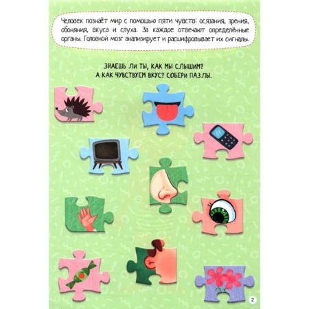 Smart notebook "Human Body"-1