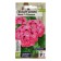 Flower seeds Pelargonium "Nano", "Pink", 3 pcs