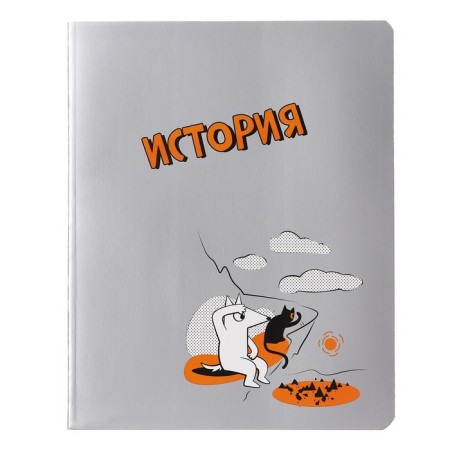 A set of subject notebooks, 48 ​​sheets of 12 objects "dog and cat", cardboard cover, foil embossing, offset unit-12