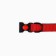 Nylon collar with fastx 2 cm, cv red