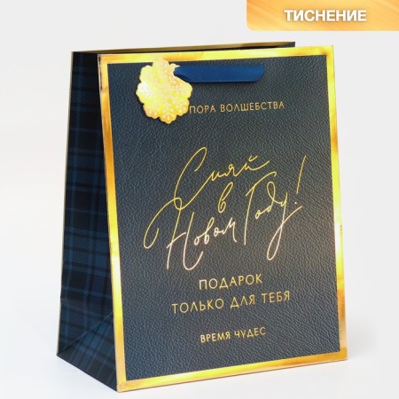 Laminated vertical packet “Shine in the New Year”, 25.4 x 30.5 x12.7 cm, New Year-1