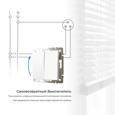 Two -clavy switch with self -return (white) W1122401-1