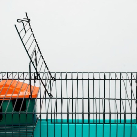The cage for rodents "Pigzon" No. 4, with a floor, equipped, 37x26x18 cm, turquoise-4
