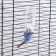 Drill for rodents, 80 ml, fastening-spring, blue